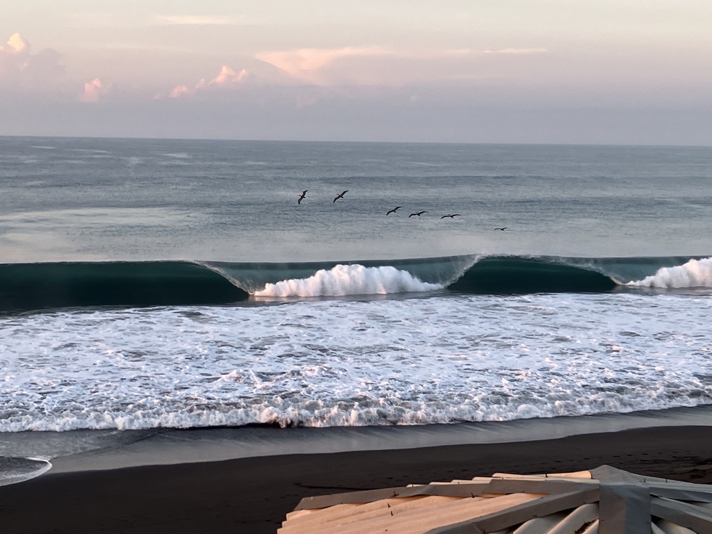 Tukane fischen im Pazifik